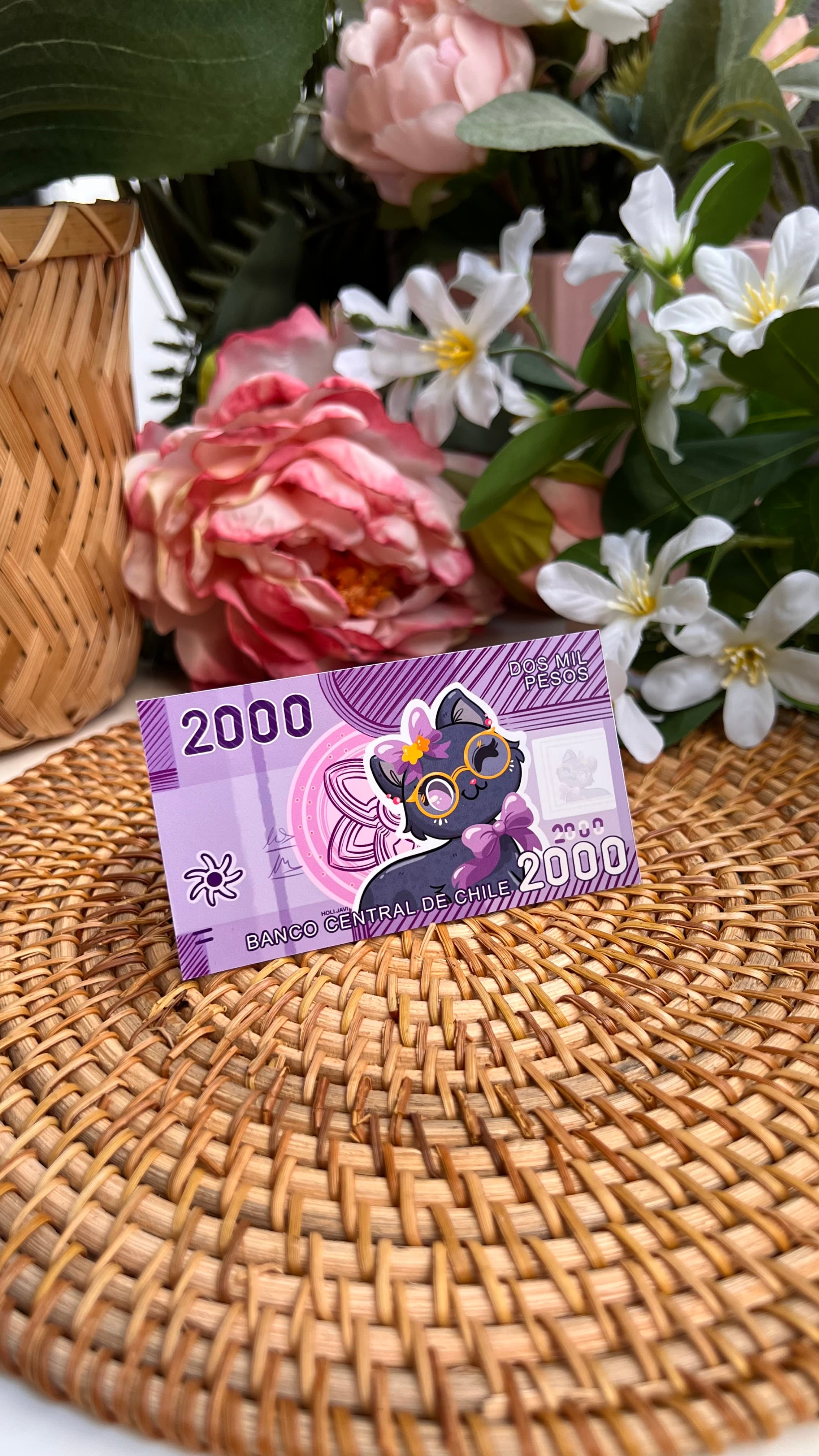 Fotografía del producto Sticker billete 1