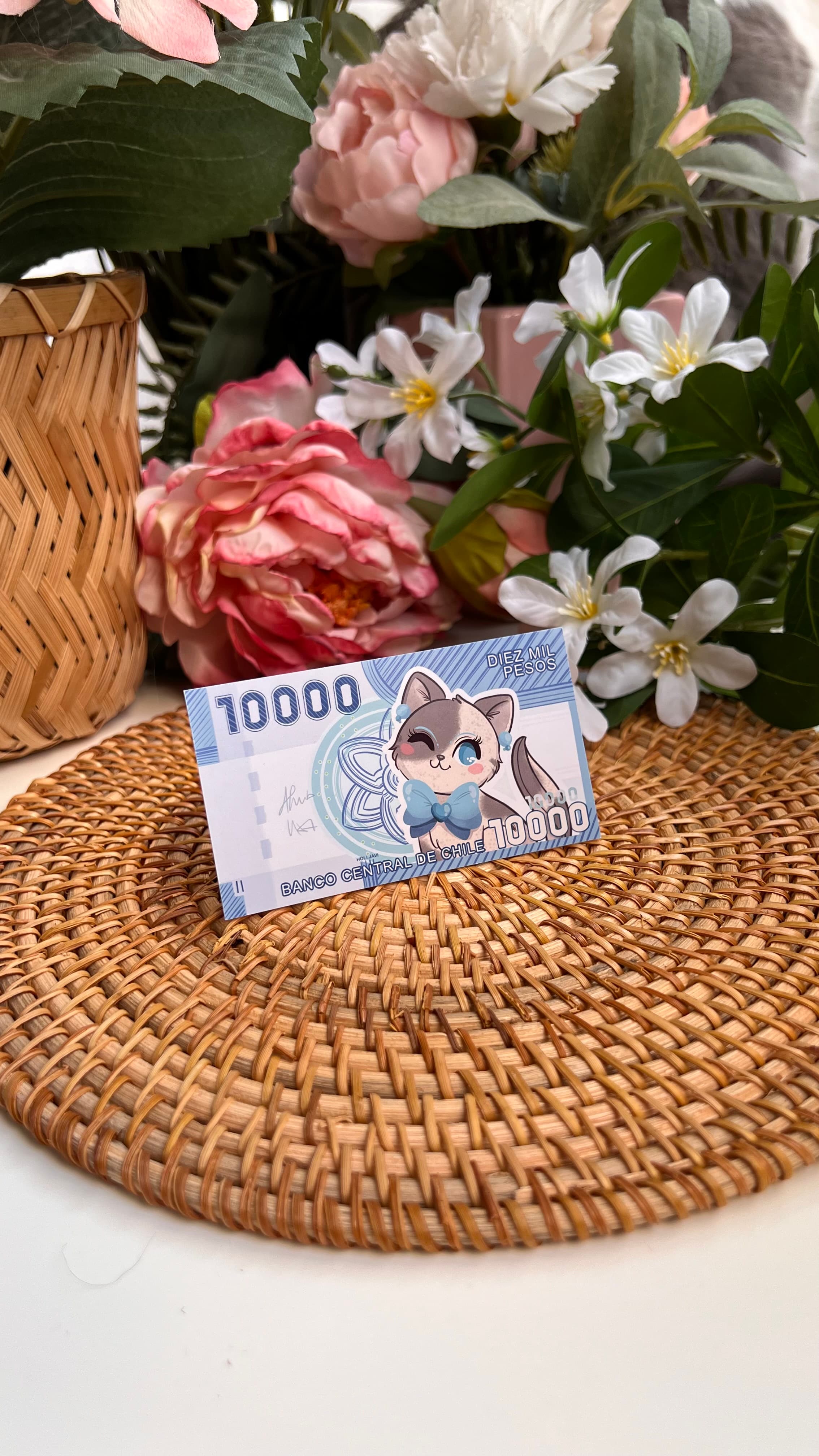 Fotografía del producto Sticker billete 2