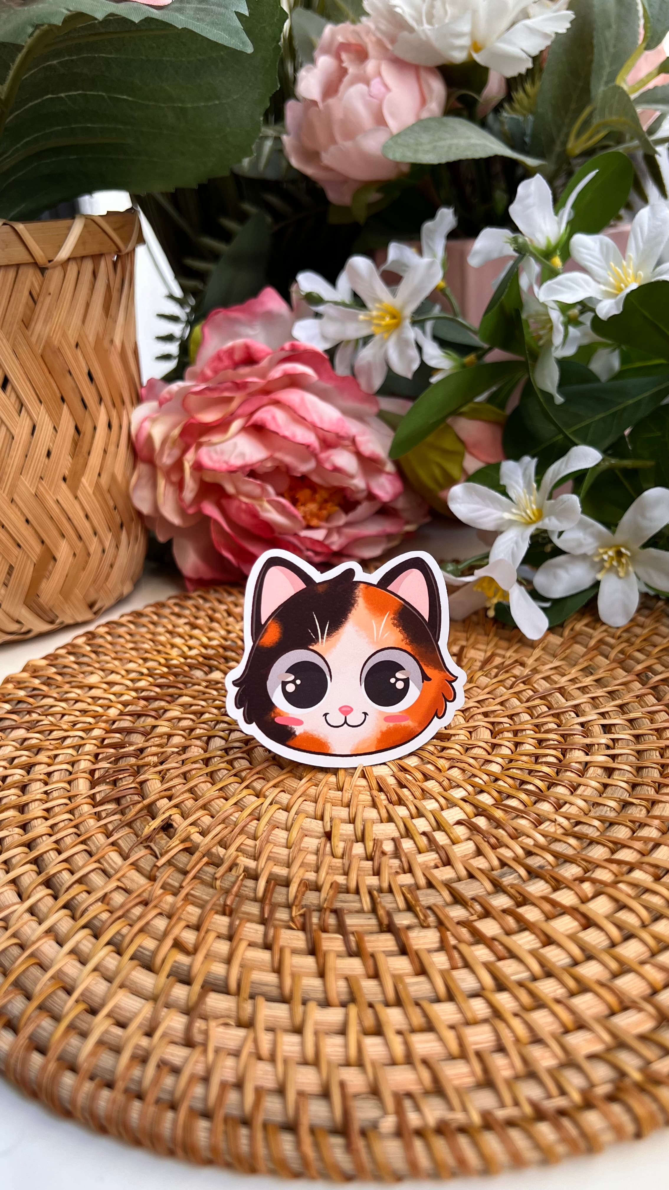 Fotografía del producto Sticker cara Mishi 11