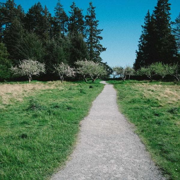 Fotografía del producto Imán nevera Michi