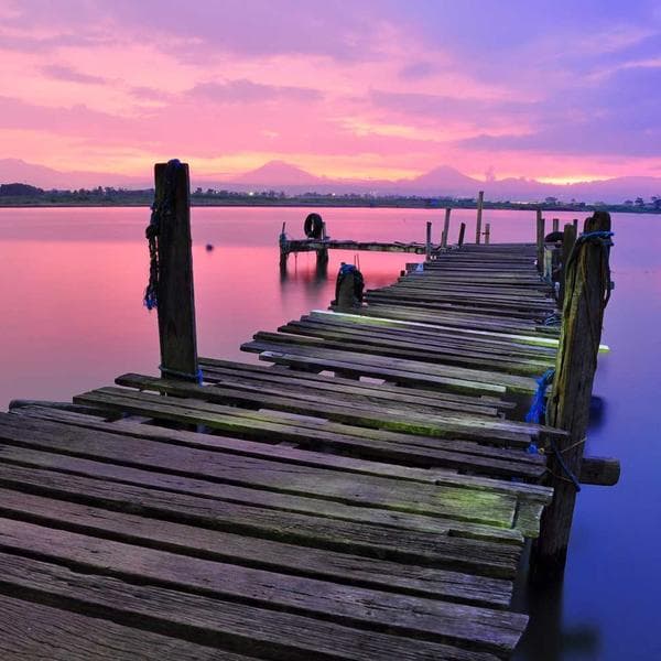 Fotografía del producto Maceta mini gatito